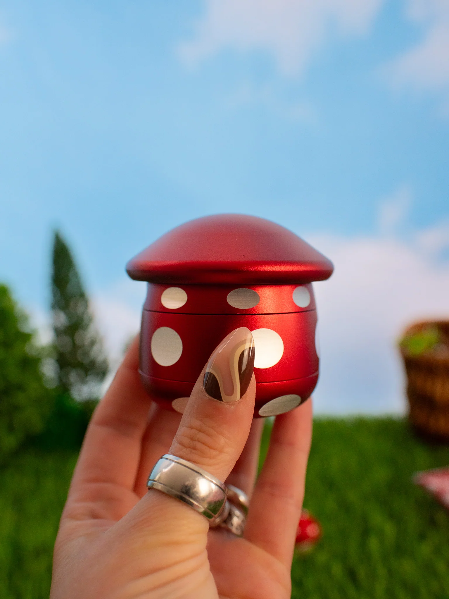 Thumbnail 6